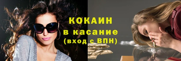 дживик Алагир