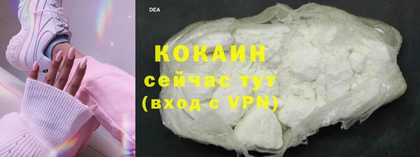 дживик Алагир