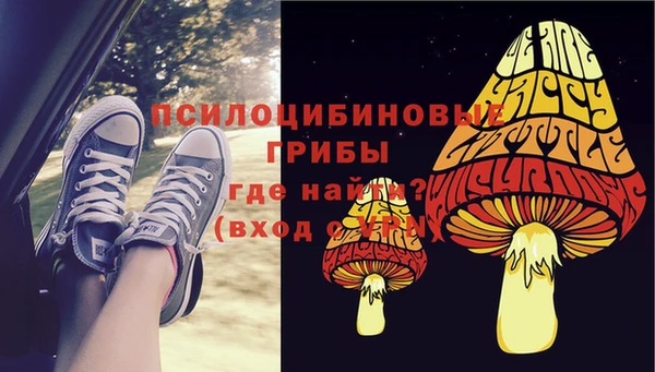 соль ск Шадринск