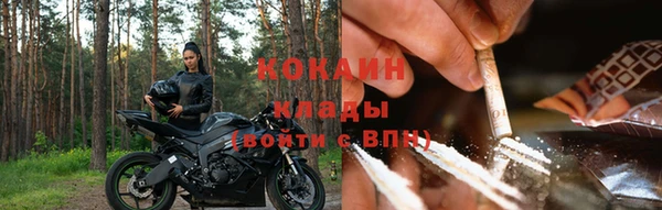 соль ск Шадринск