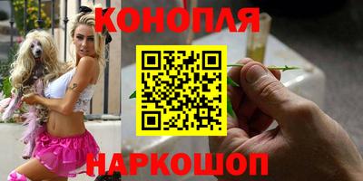 спиды Донской