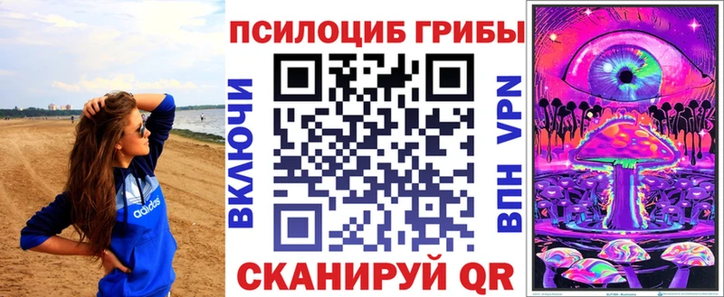 купить наркотик  Хабаровск  omg сайт  Псилоцибиновые грибы мицелий 