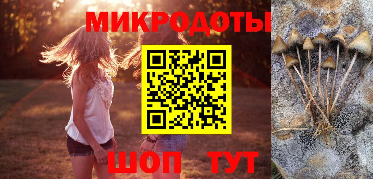 Хабаровск  цены наркотик  Вход с VPN  Галлюциногенные грибы ЛСД 