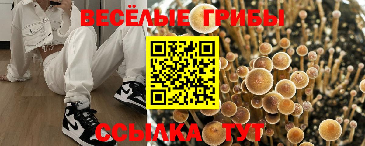 Метадон Хабаровск